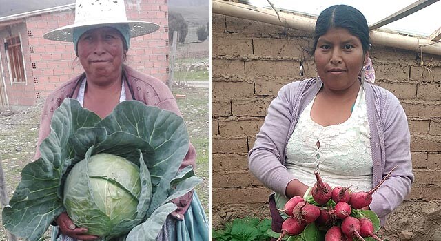 BOLIVIA_HUERTOS ESCOLARES.jpg